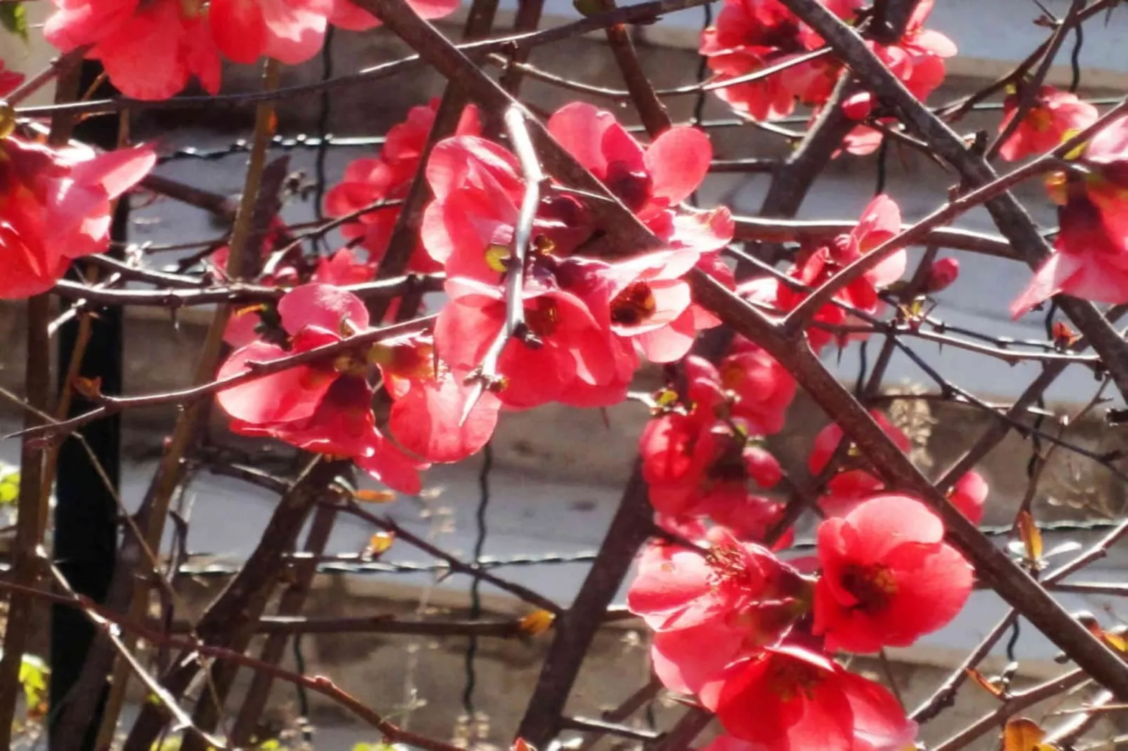 L'Eugénie - Ambiance