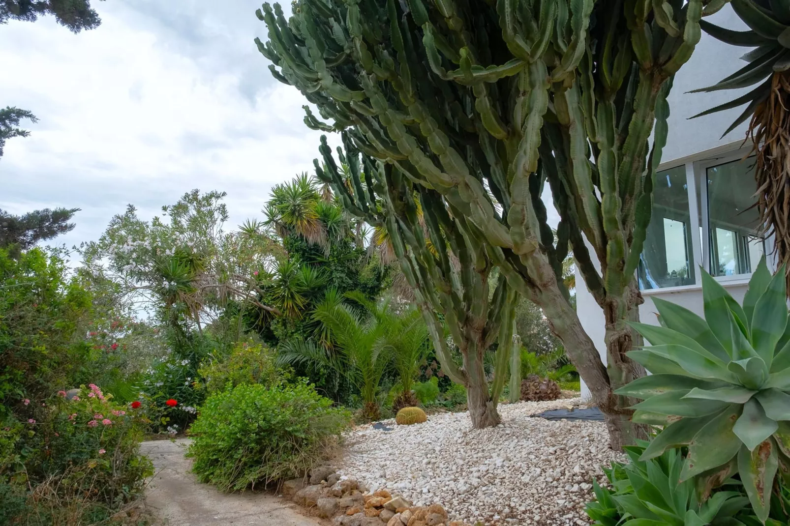 Villa Malvarosa - Garten Sommer
