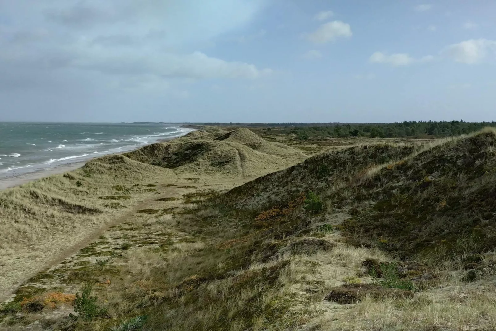 Maison de vacances pour 4 a Læsø - Vue sur l'eau