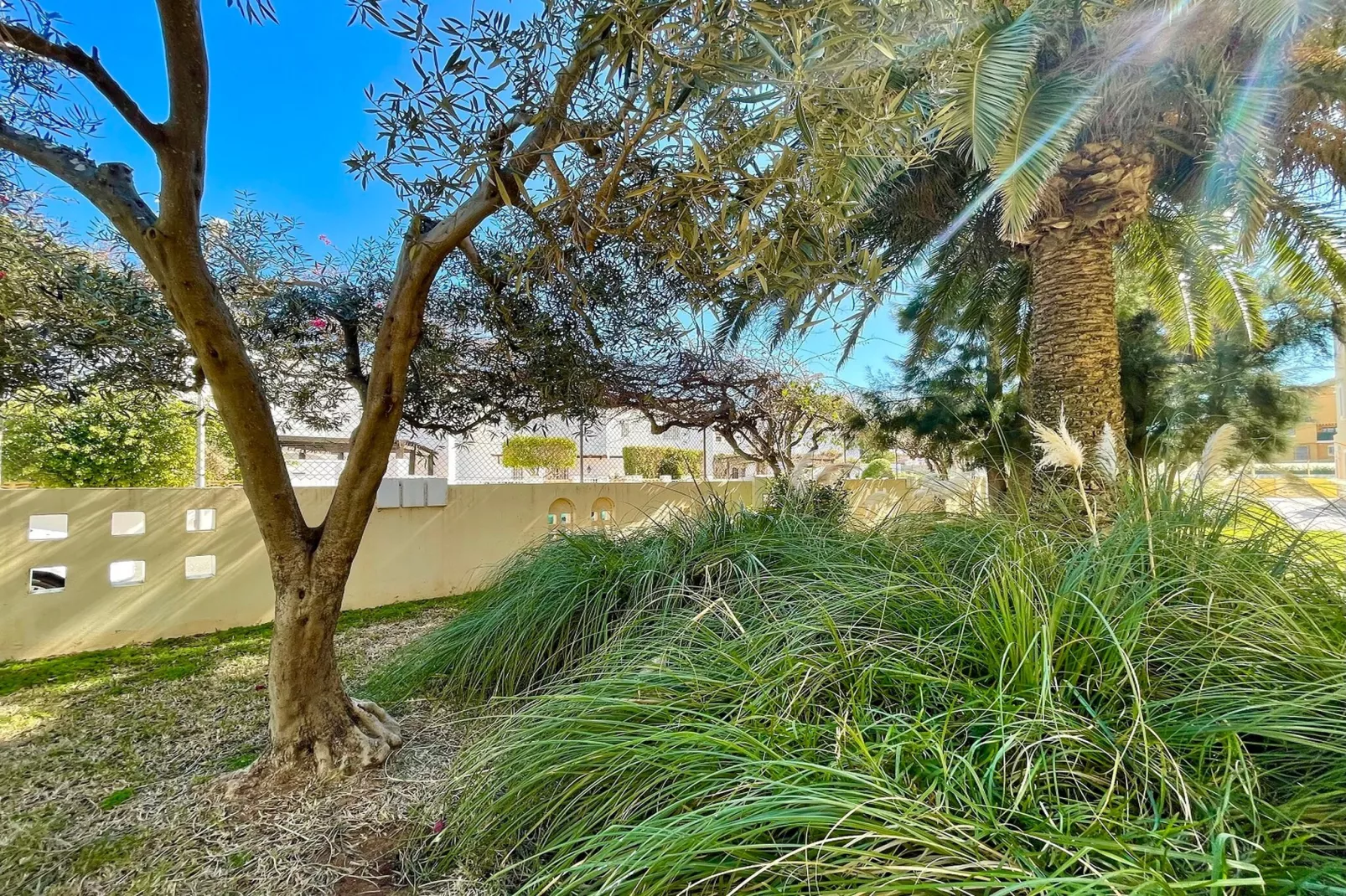Moguima 1d - Jardins en été