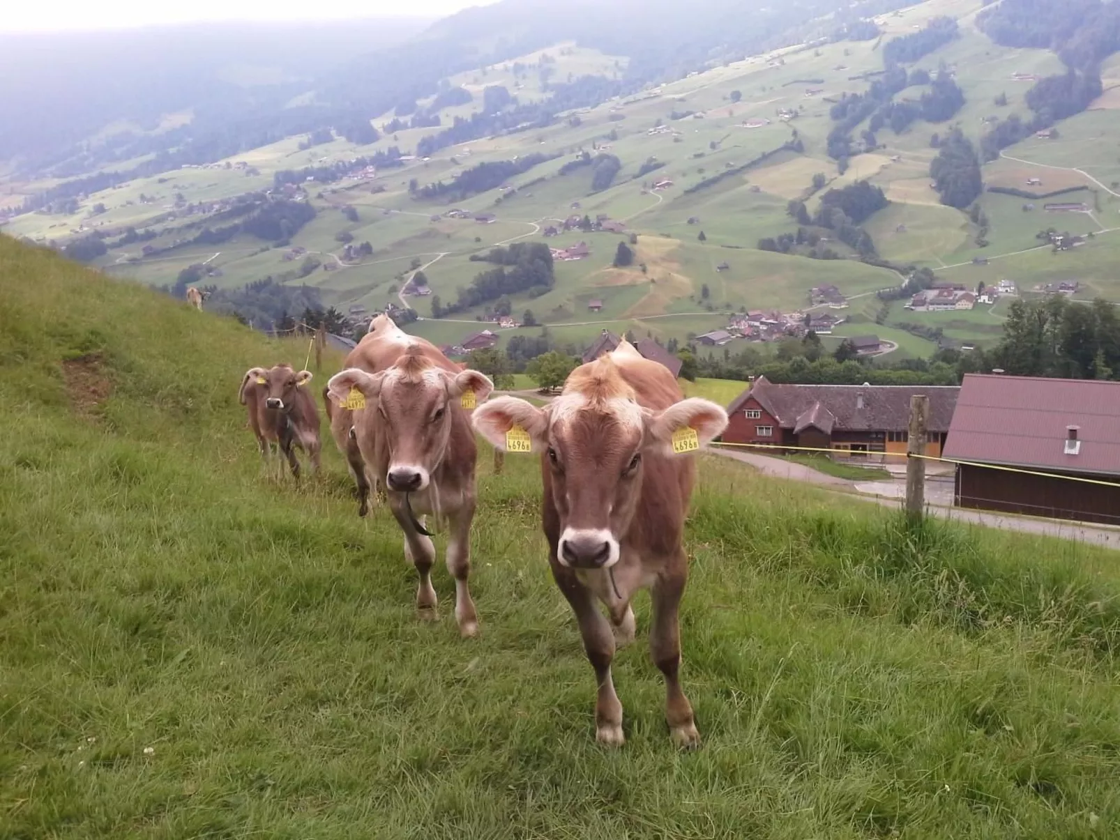 Hof Unterstein - Dehors