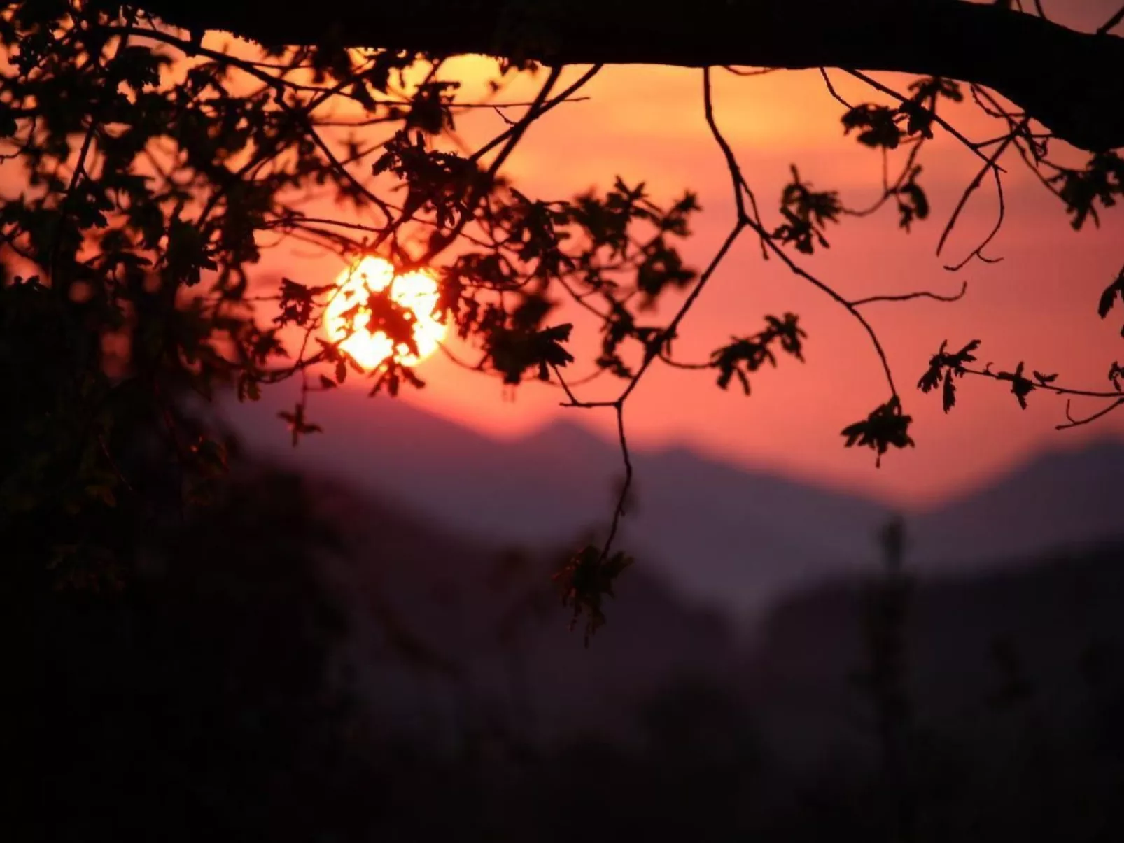 Schafmatthof 1 Obergeschoss - Draußen