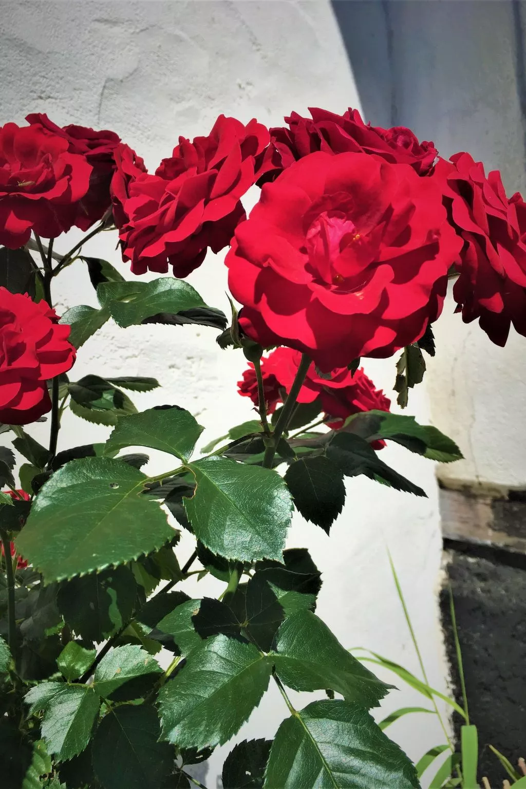 FH Godewind***** 45 - Draußen