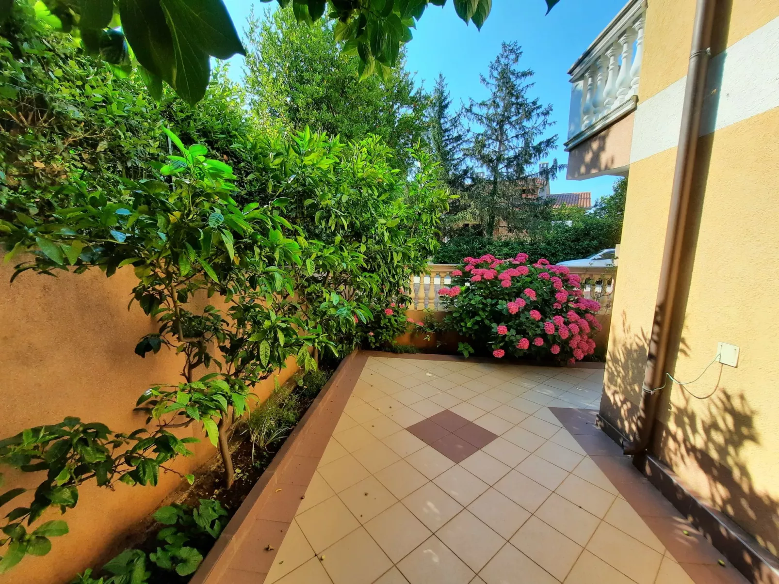 Villa Canaria 1 - Dehors