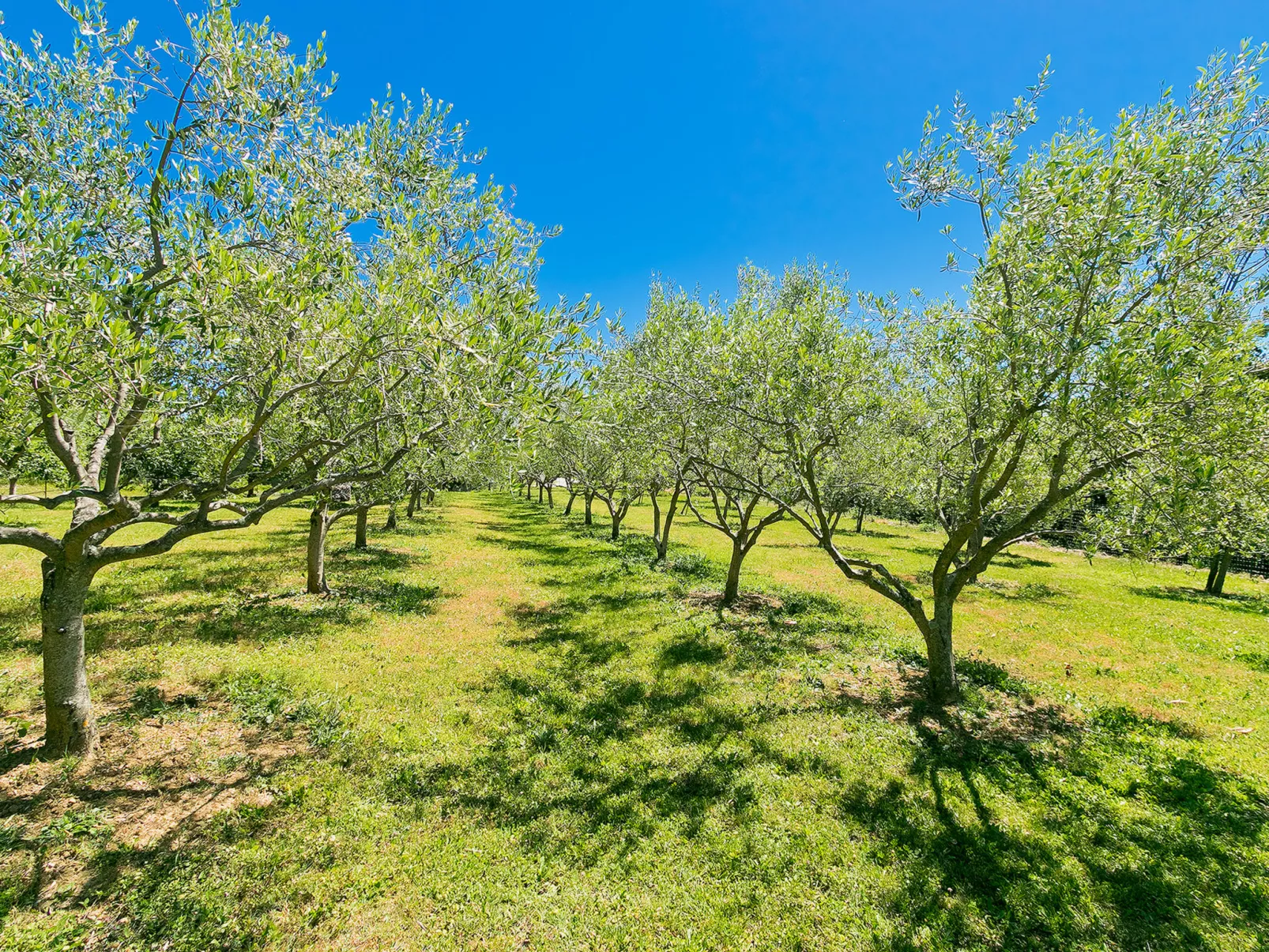 Margherita - Outside