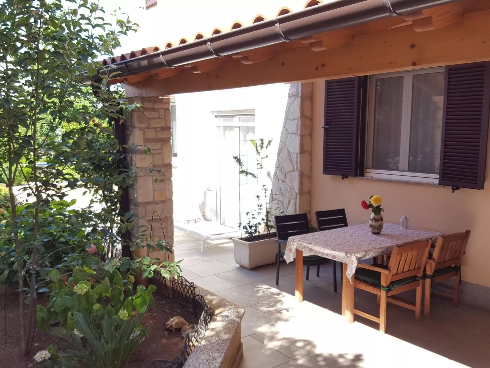 Ginkgo 3 - Image-tags.info