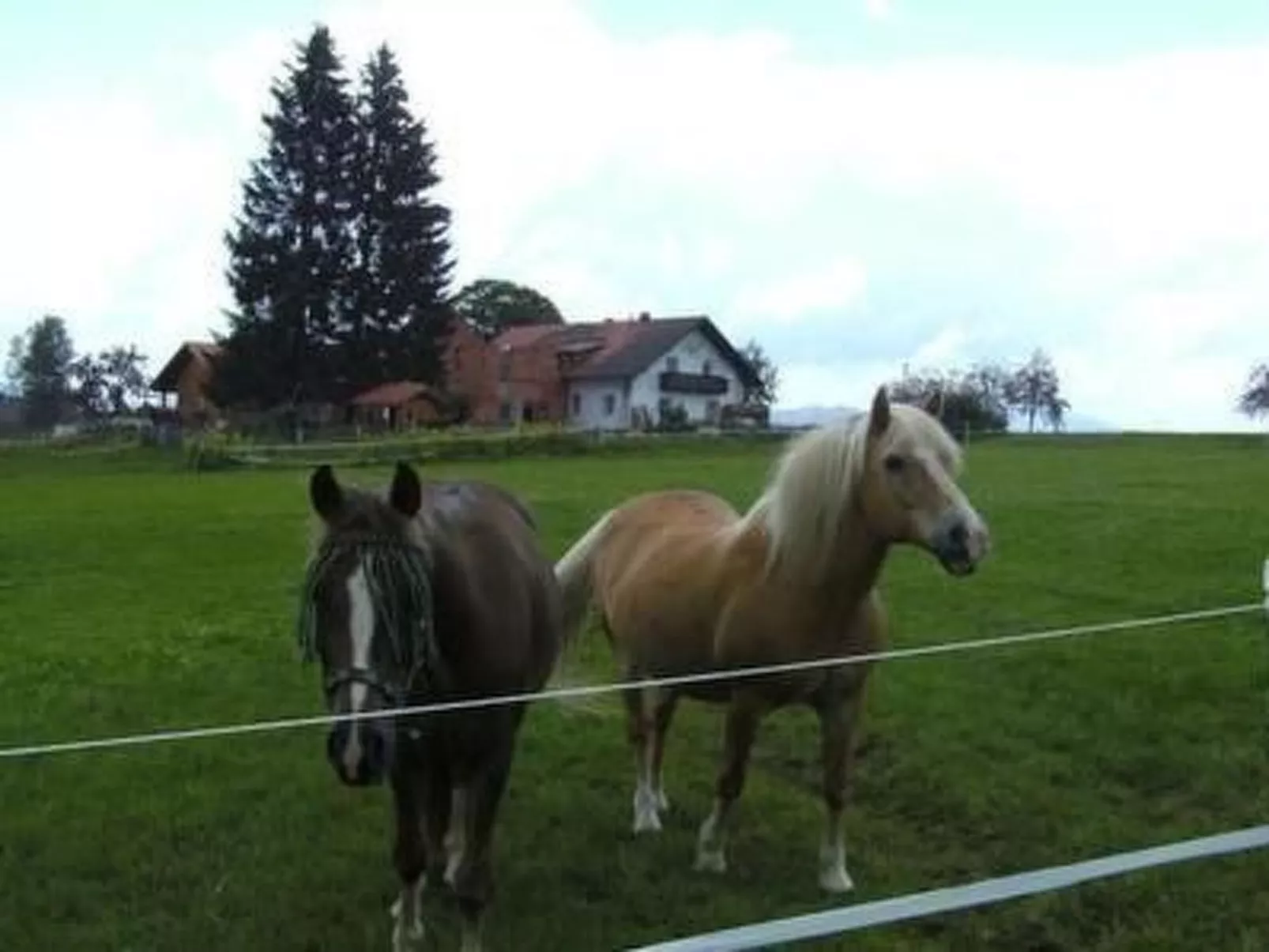 Wohnung in Haidmühle mit Garten und Grill - Dehors