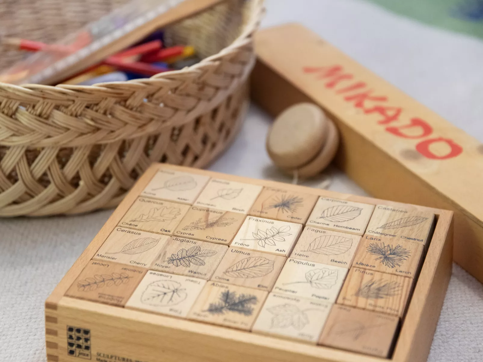 Veni, Vidi, Mansi - Drinnen