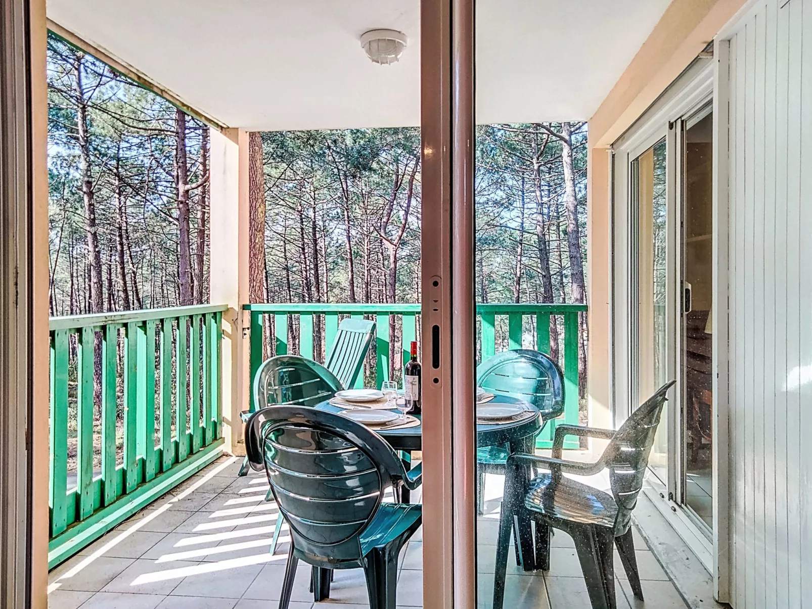 Les Grands Pins - Dehors