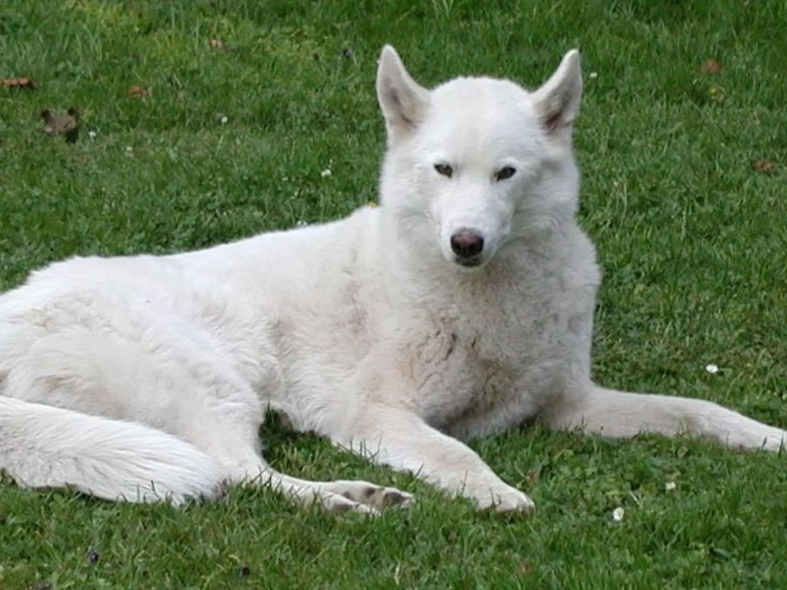 MaisonMazerand    Wohnen - Entspannen - Genießen - Image-tags.info