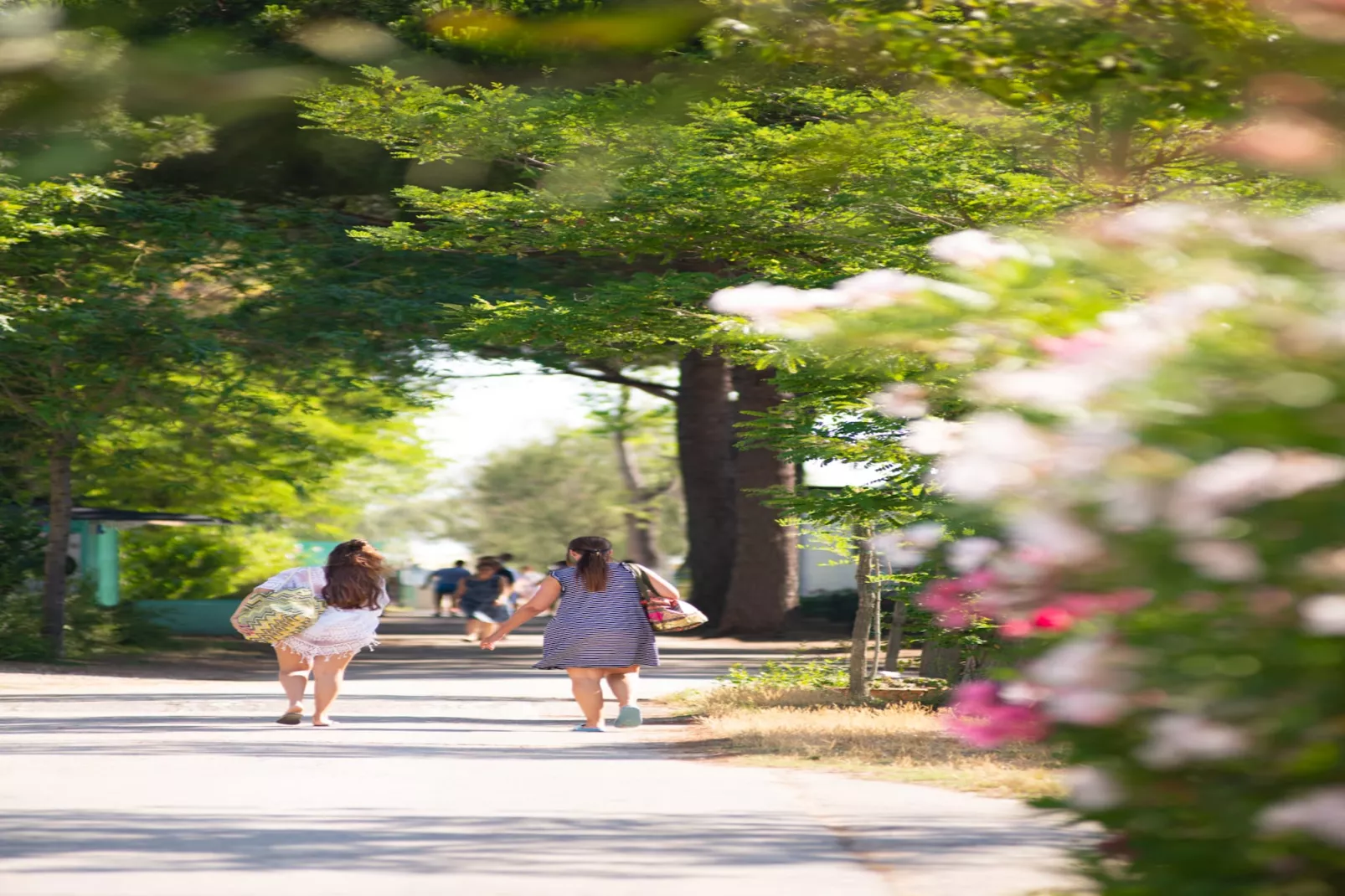 Cesenatico Camping Village - MOBILE HOME CASSIOPEA CESENATICO - Installations du parc