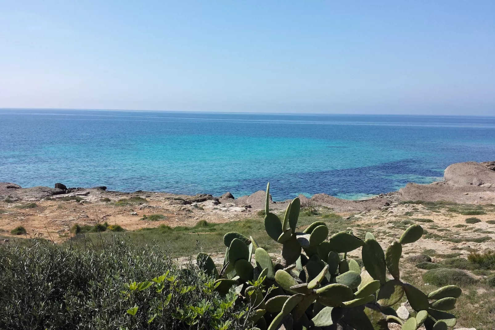 TS Trilo Rialzato - Areas within 1km in summer