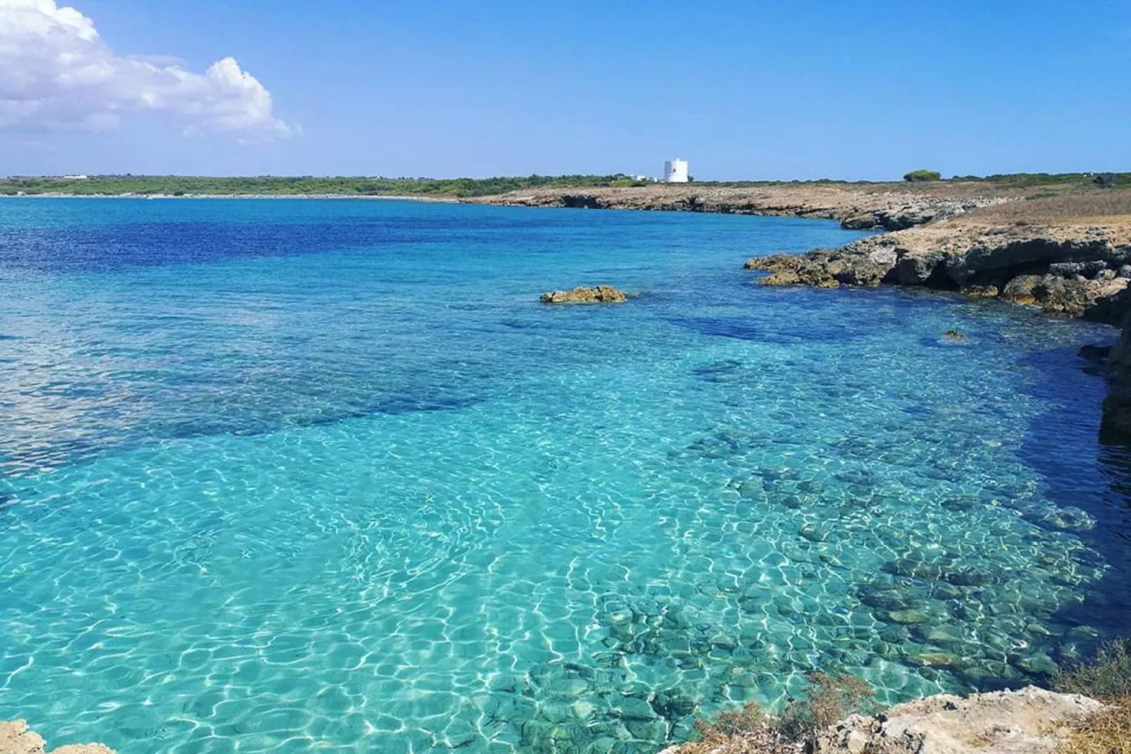 TS Quadri A - Areas within 1km in summer