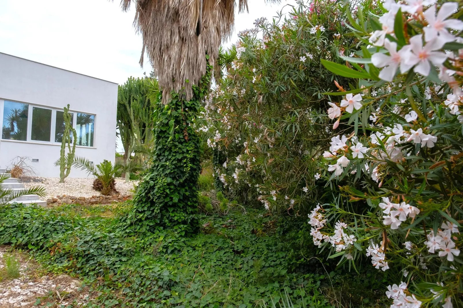 Villa Malvarosa - Garten Sommer