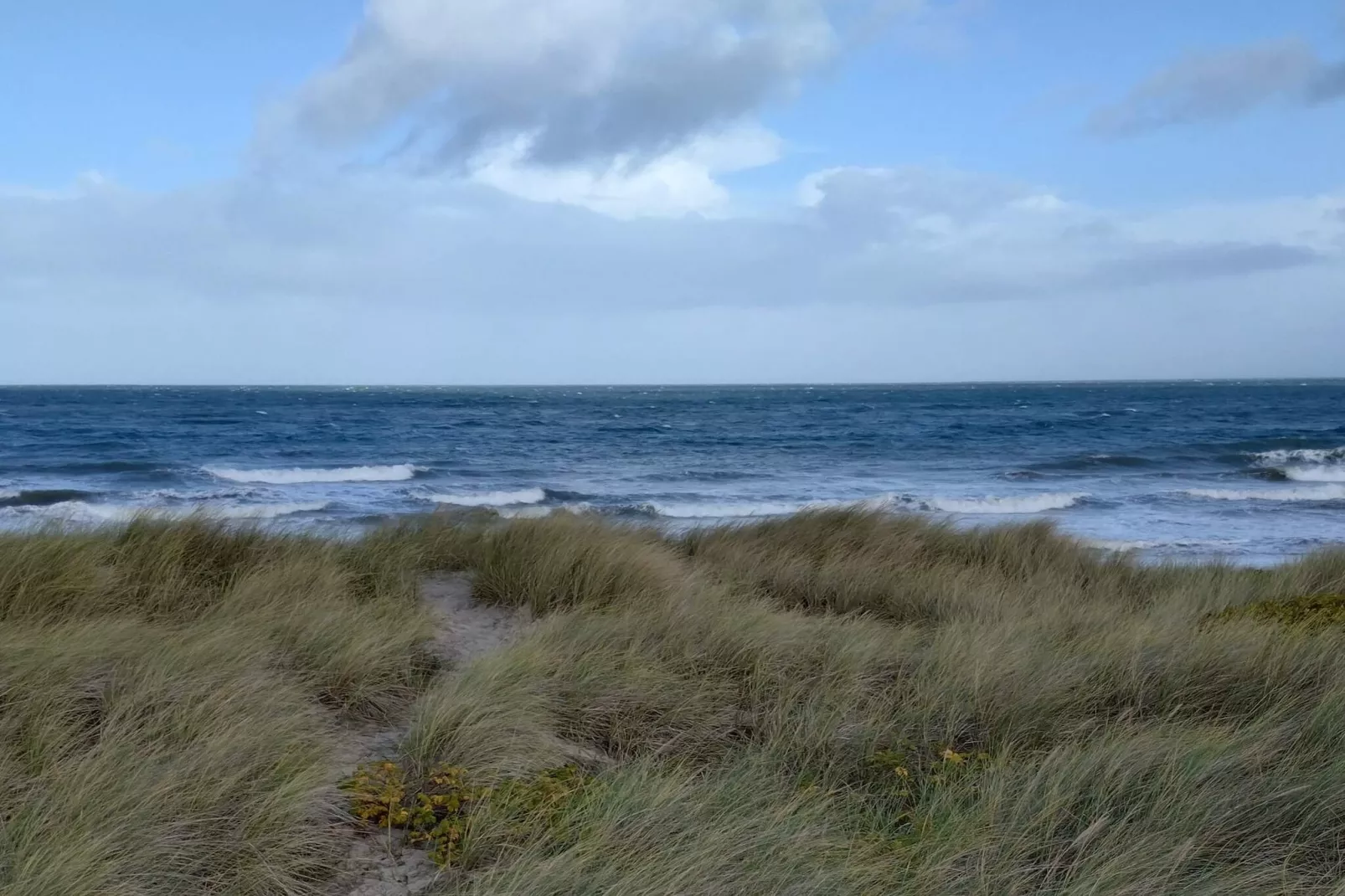 Maison de vacances pour 4 a Læsø - Vue sur l'eau