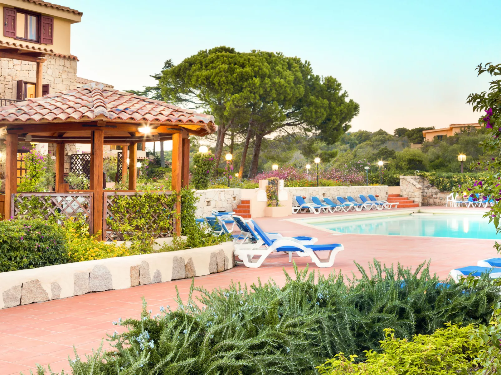 Bougainvillae Bilo - Dehors