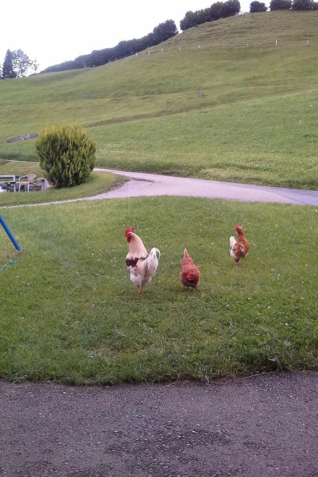 Hof Unterstein - Dehors