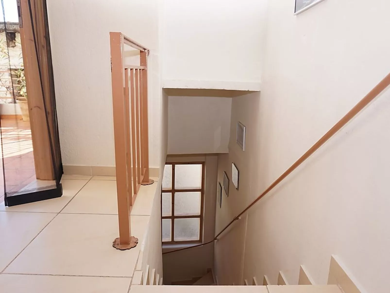 Oleander - Image-tags.info