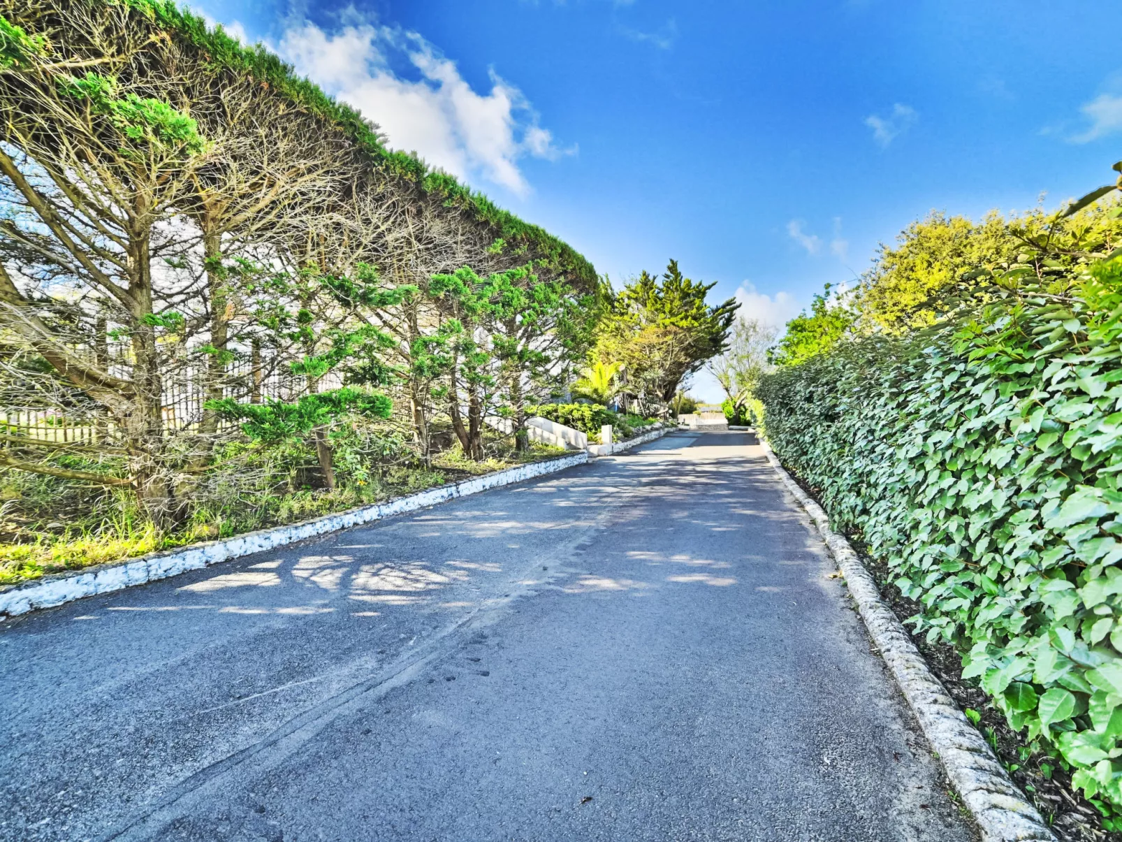 Les Cariatides 6 - Draußen