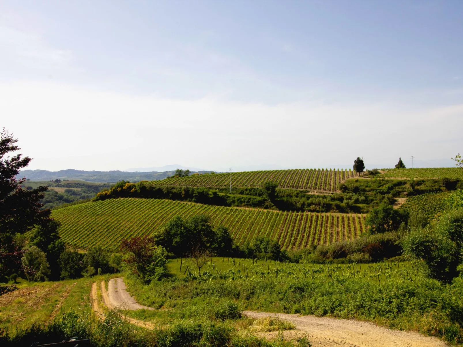 Gästezimmer 1 - Draußen
