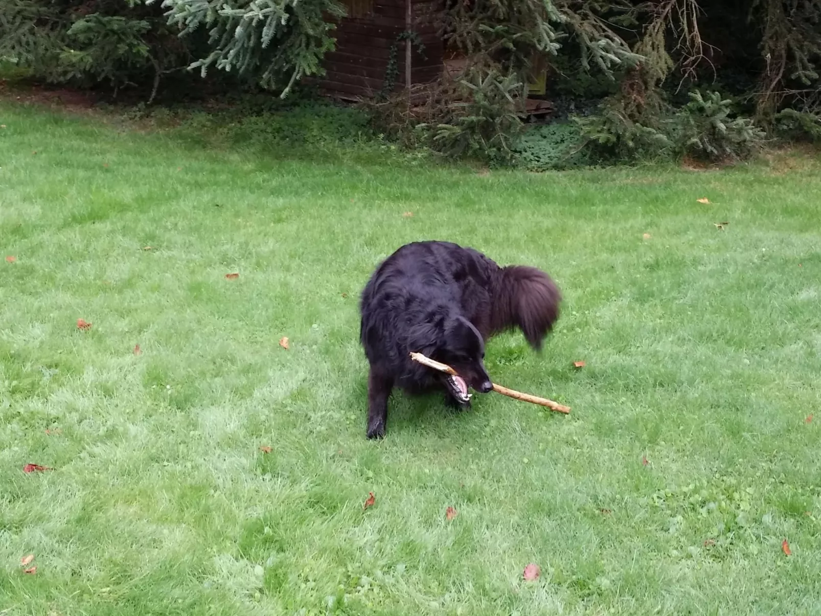 MaisonMazerand    Wohnen - Entspannen - Genießen - Draußen