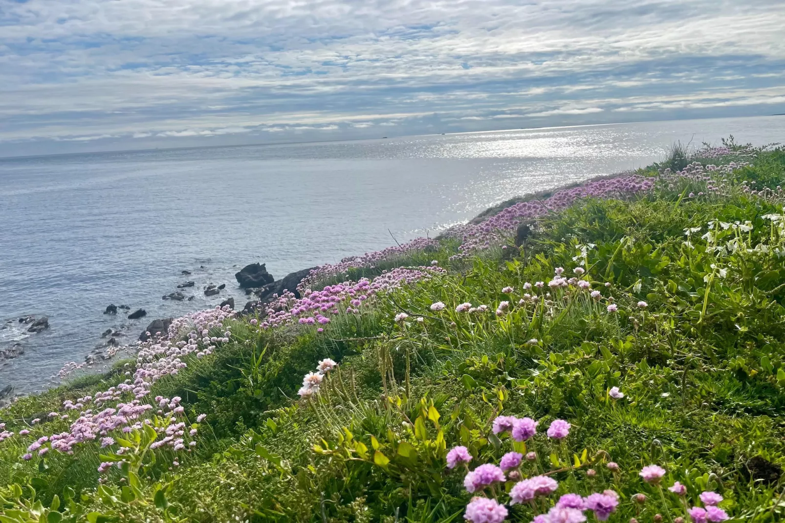 Maison de Vacances Le Conquet - Areas within 5km in summer