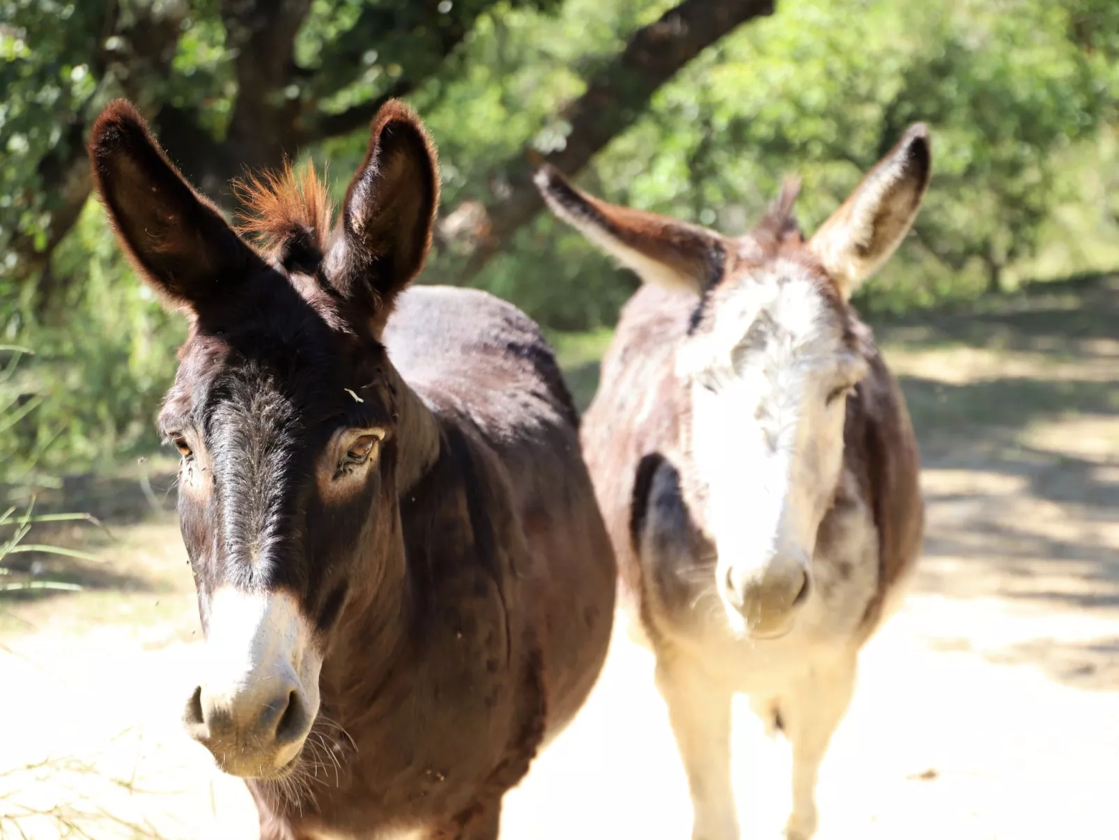 Le Vallon - Draußen