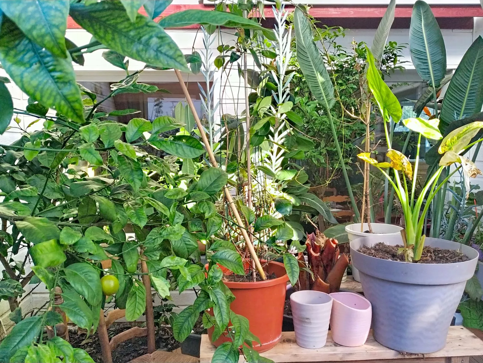 Le Nautilus - Drinnen