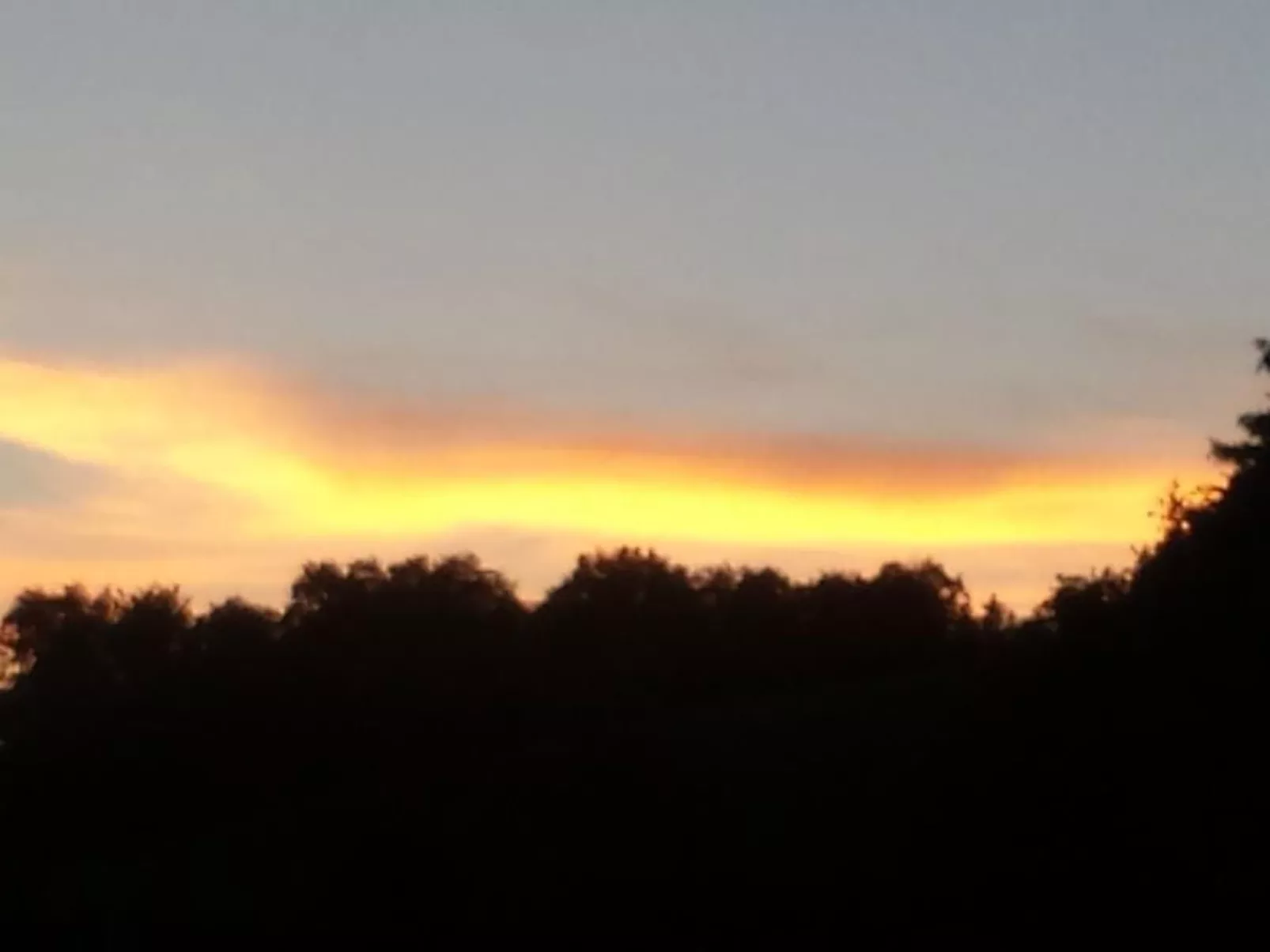 Hof Unterstein - Dehors