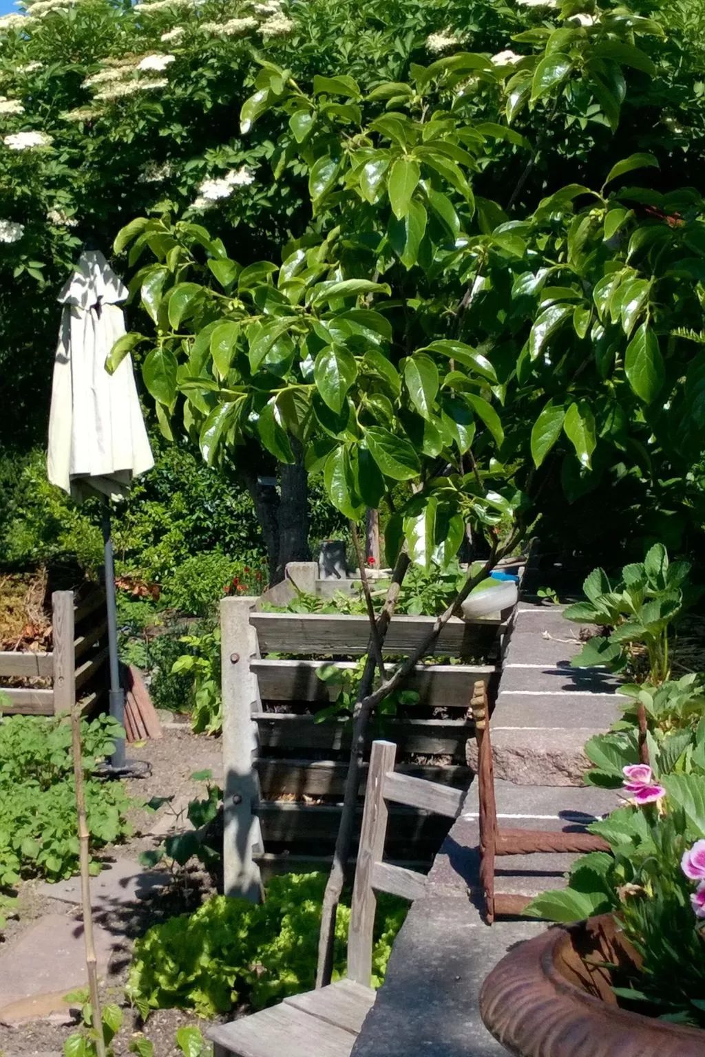 Villa Romantica - Outside