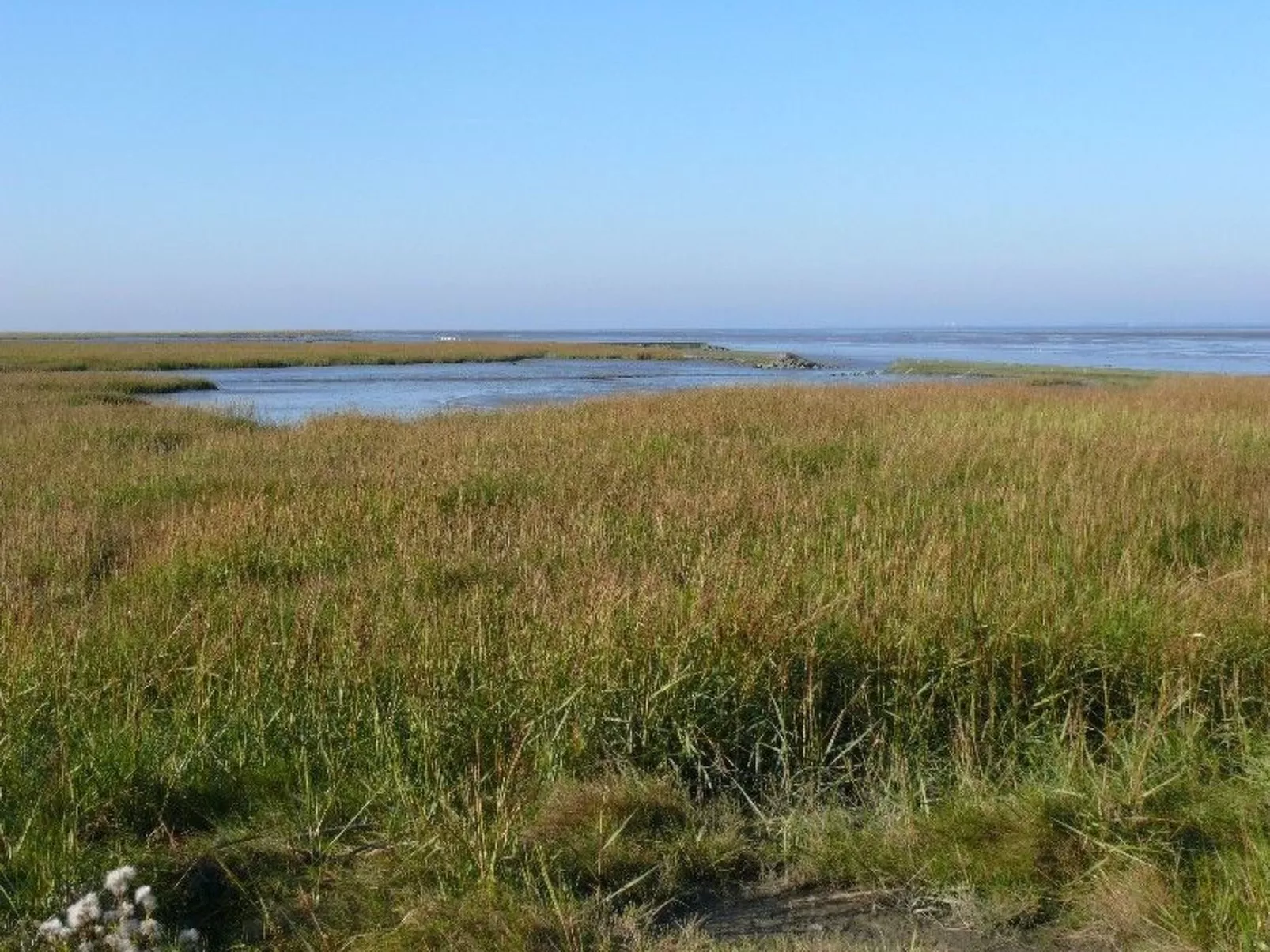 Logeerkamers "Gästezimmer Dellarte" - Draußen