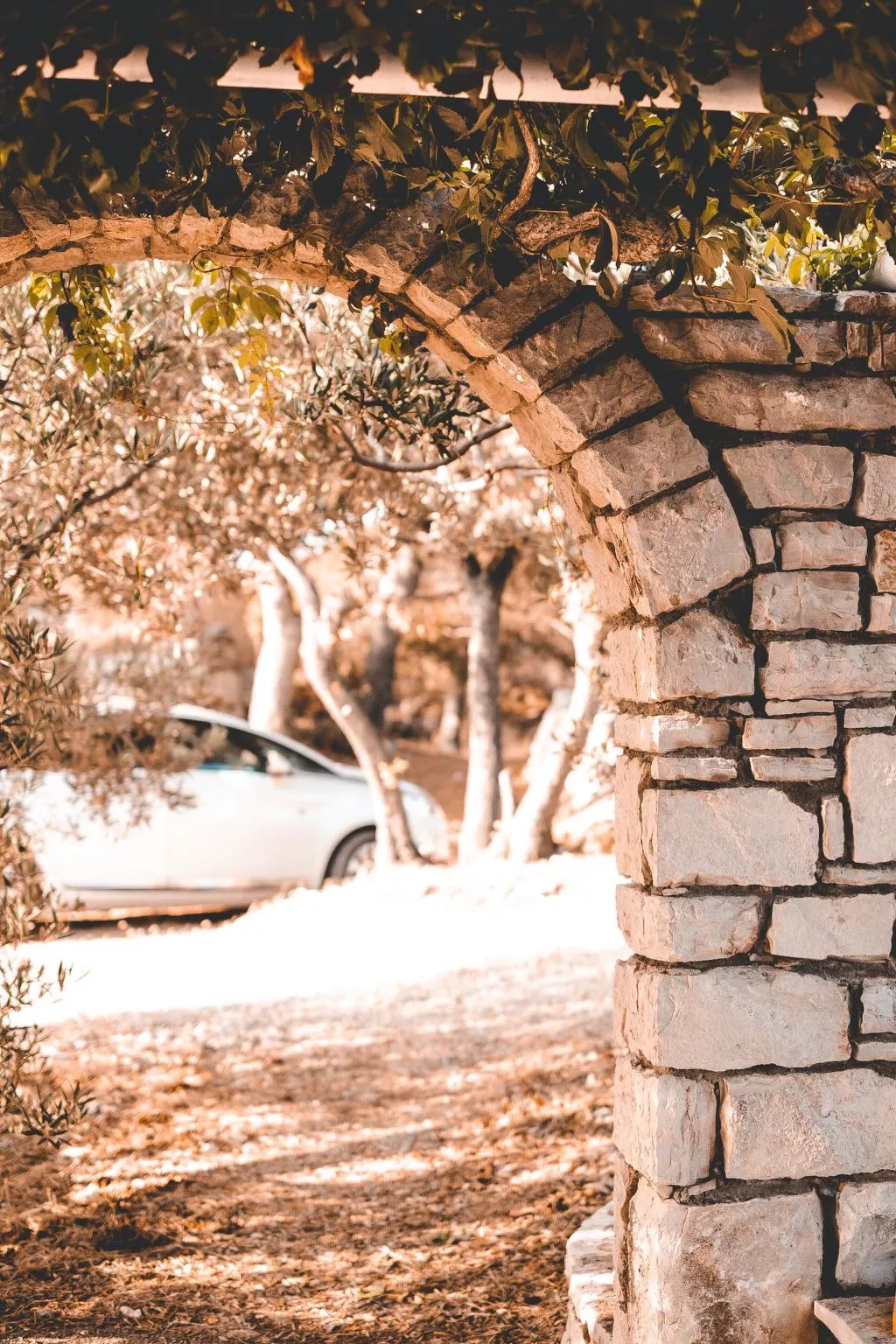 Haus am Meer Šolta - Draußen