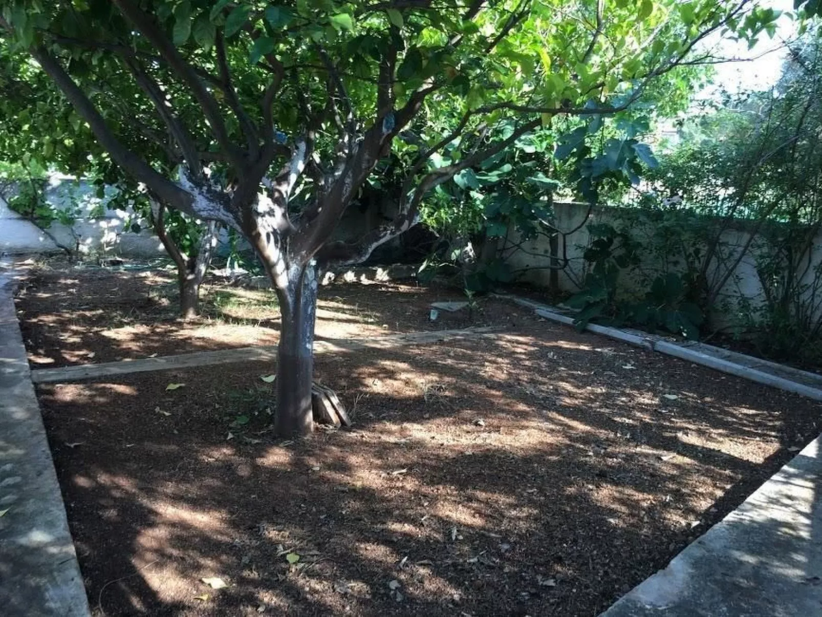 Schönes Surfercottage mit herrlichem Garten - Image-tags.info