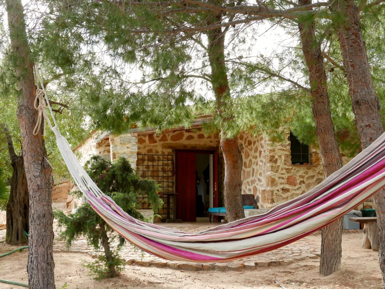 "Cosima" mit Blick auf das Wasser - Outside