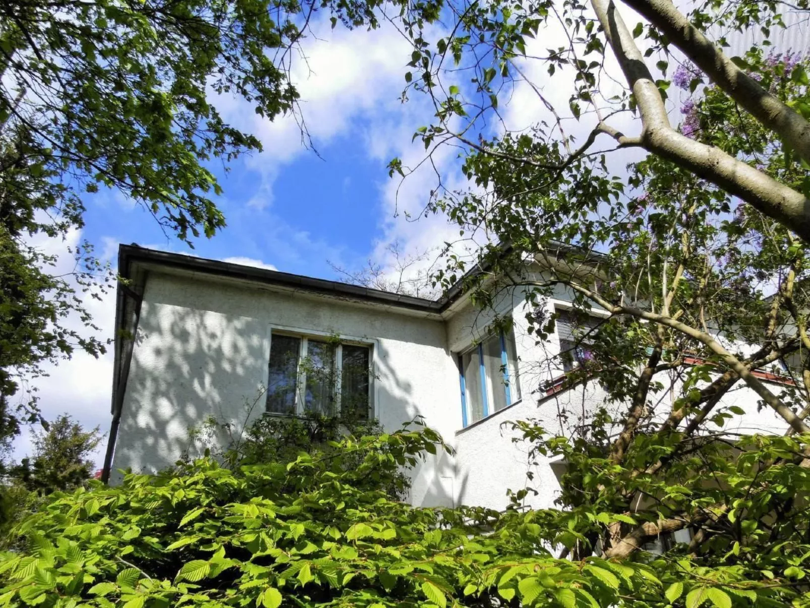 Kleine Villa West - Outside