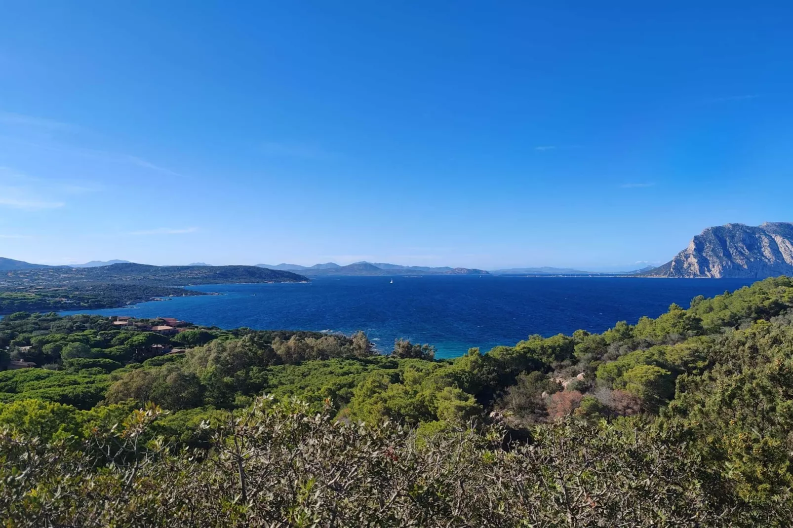 Il Mirto - Areas within 20km in summer