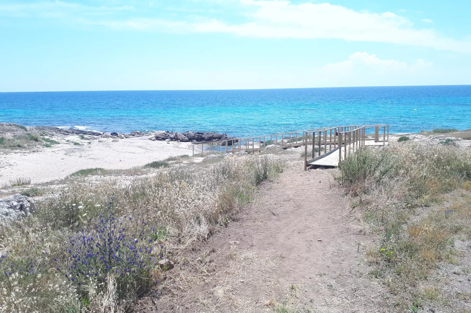 TS Quadri B - Areas within 1km in summer