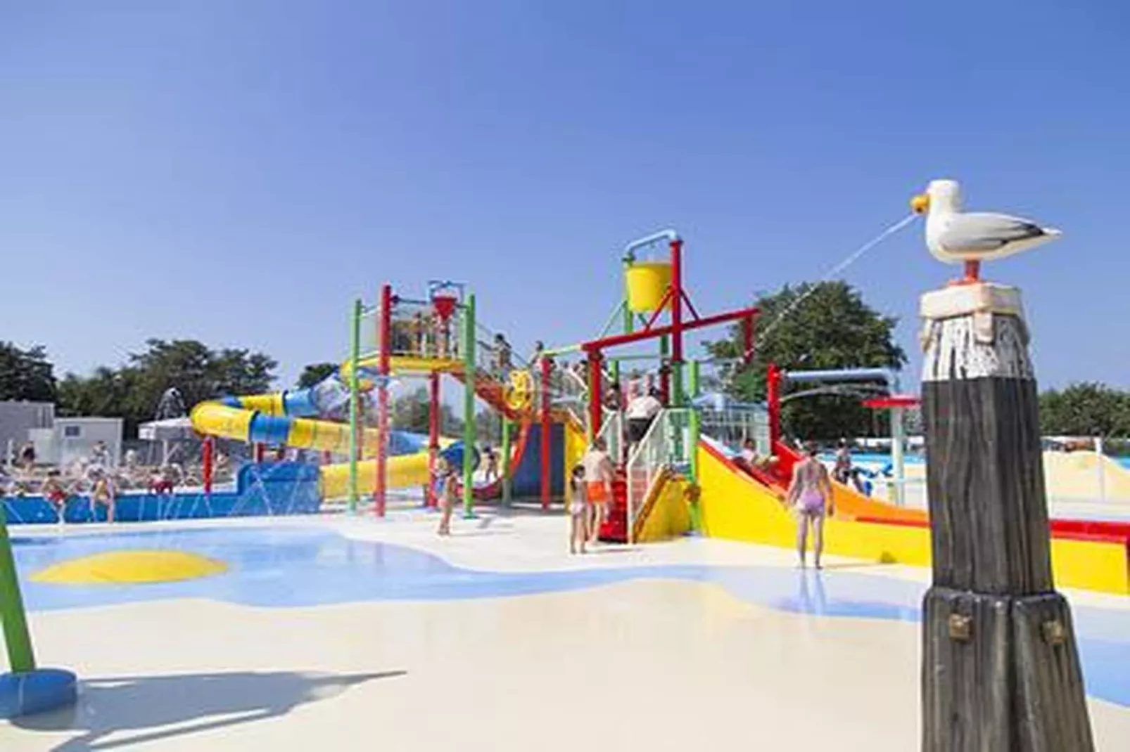 Duinhoeve Chalet Zeeland (huisdier toegestaan) - Areas within 1km in summer