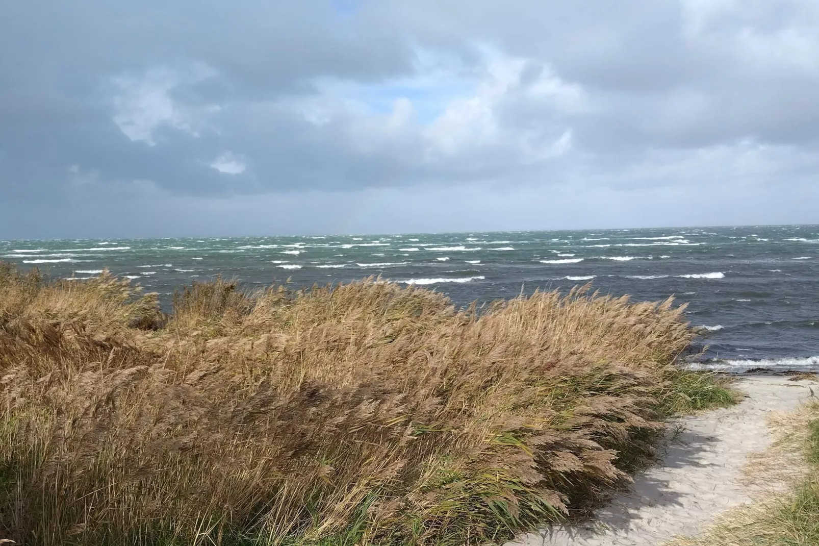 Maison de vacances pour 4 a Læsø - Vue sur l'eau