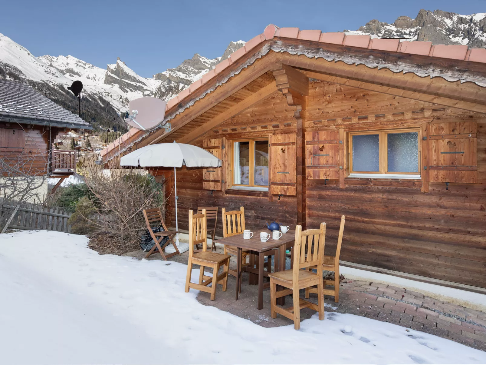 Ecureuil noir - Outside