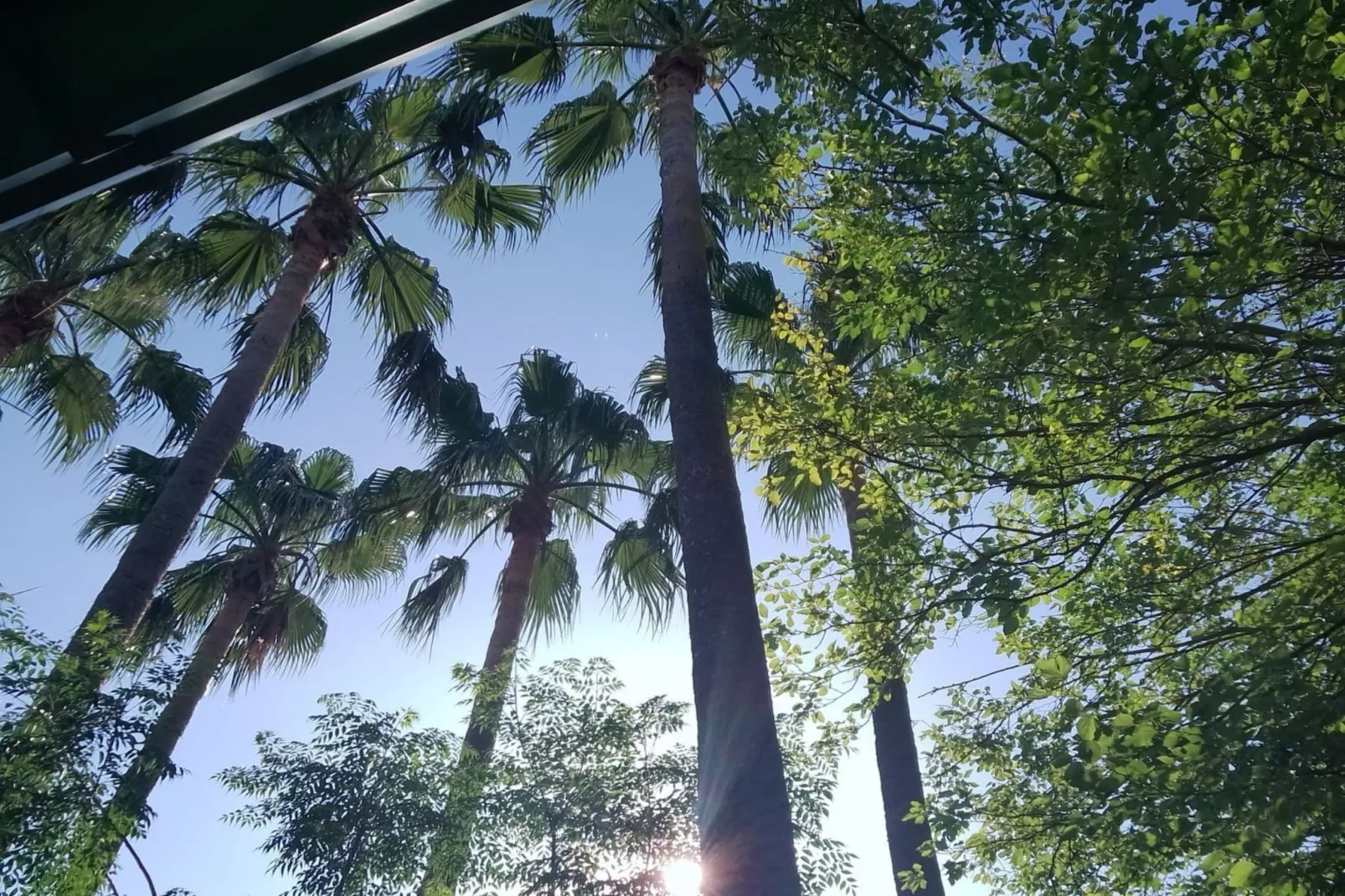 Silver Gate Rooms-Diocletian's Palace - Twin Room - Extérieur