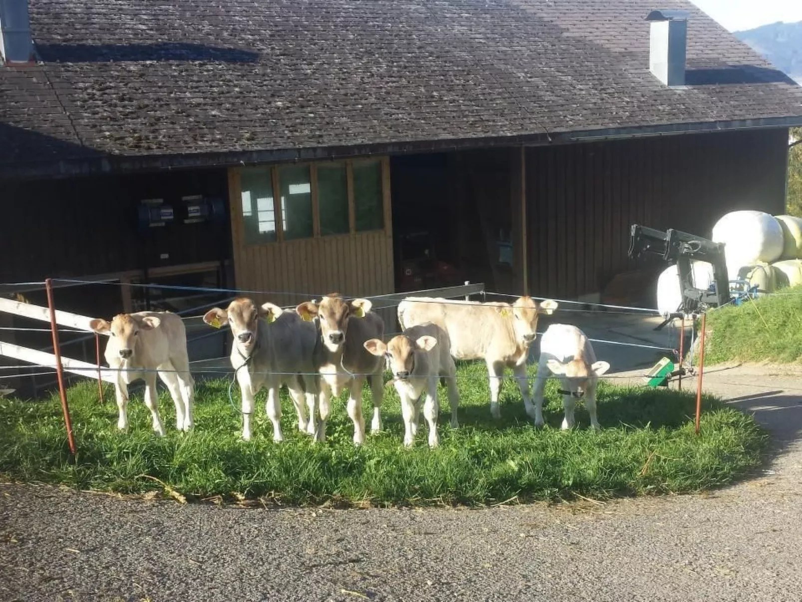 Hof Unterstein - Dehors