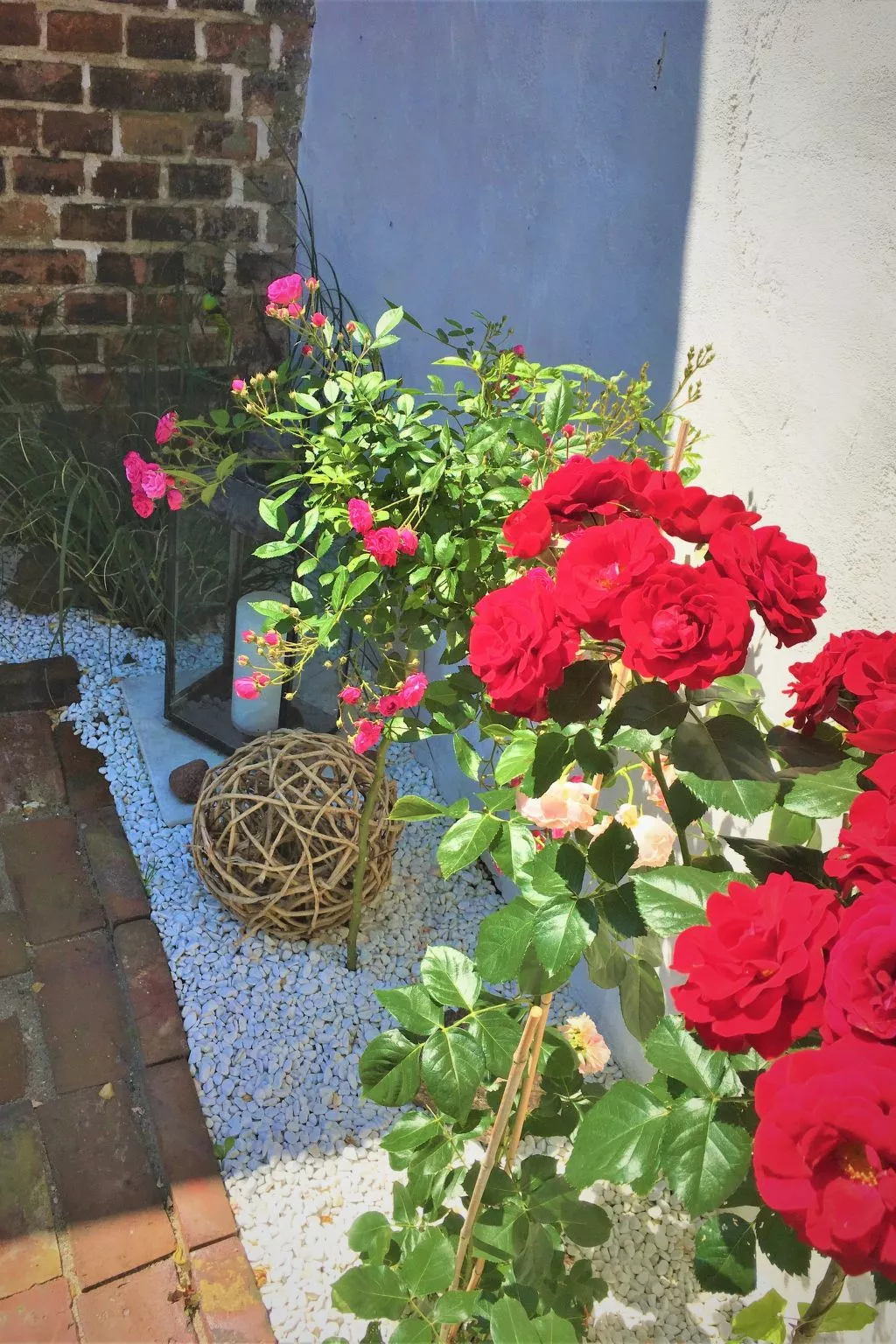 FH Godewind***** 45 - Draußen