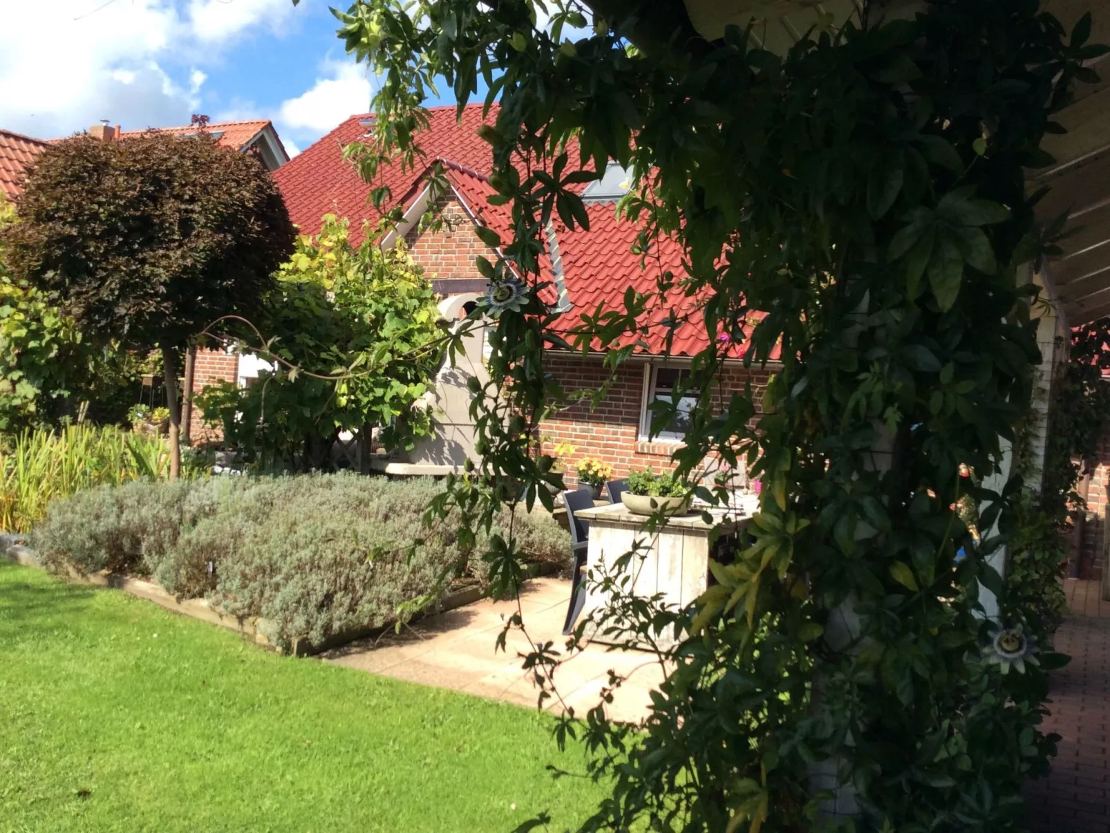 Logeerkamers "Gästezimmer Dellarte" - Draußen