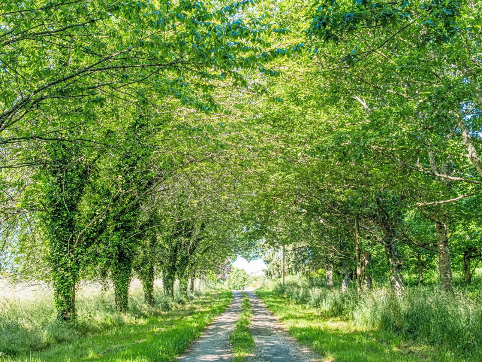 Gites de la Goujatte - Draußen