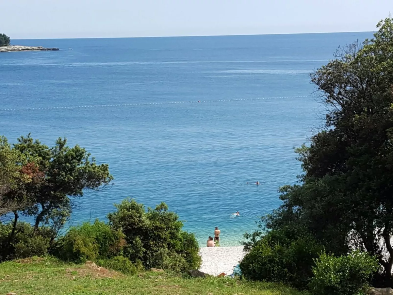 Ginkgo 4 - Image-tags.info