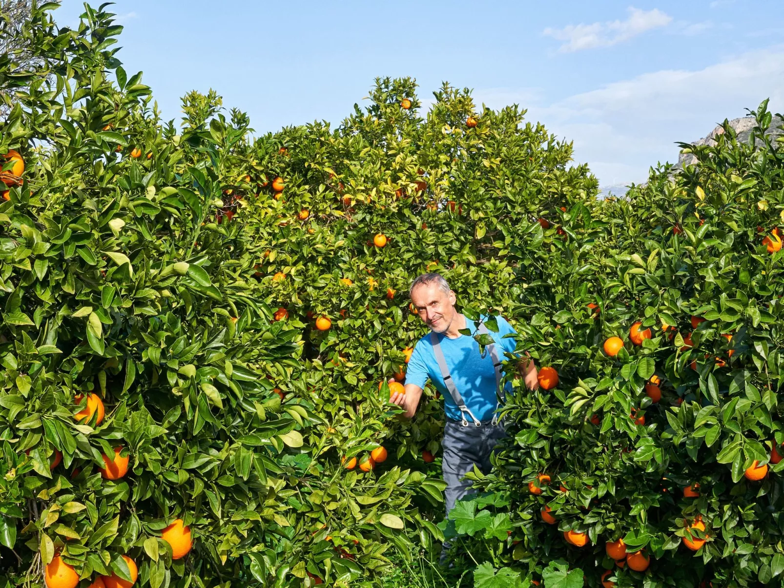 Wohnung in Kallithea mit Garten und Terrasse - Image-tags.info