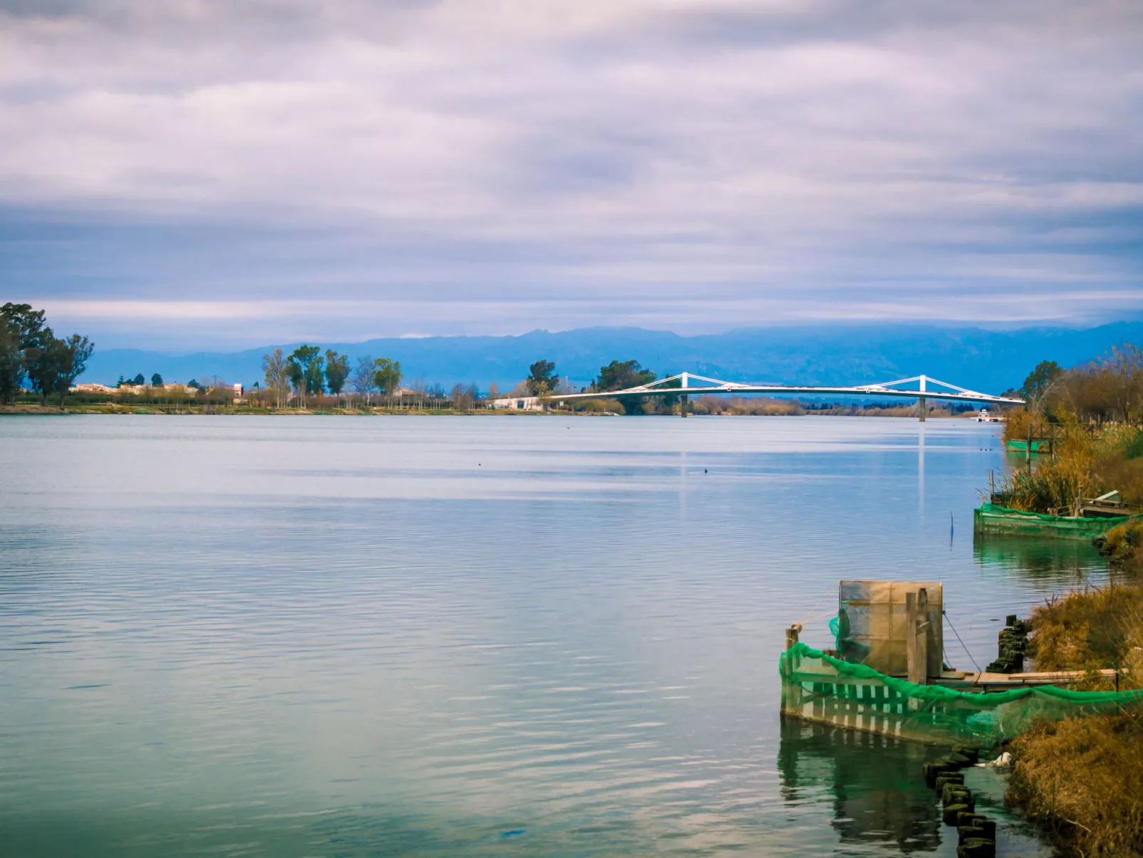 Falco - Environnement