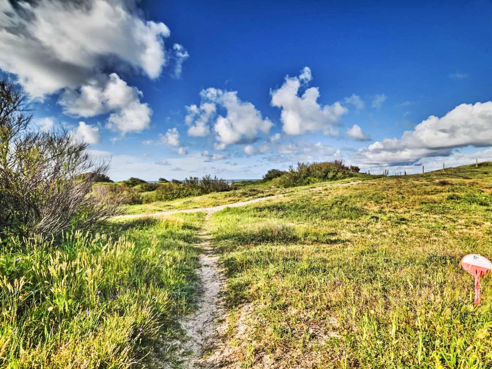 Les Cariatides 6 - Draußen
