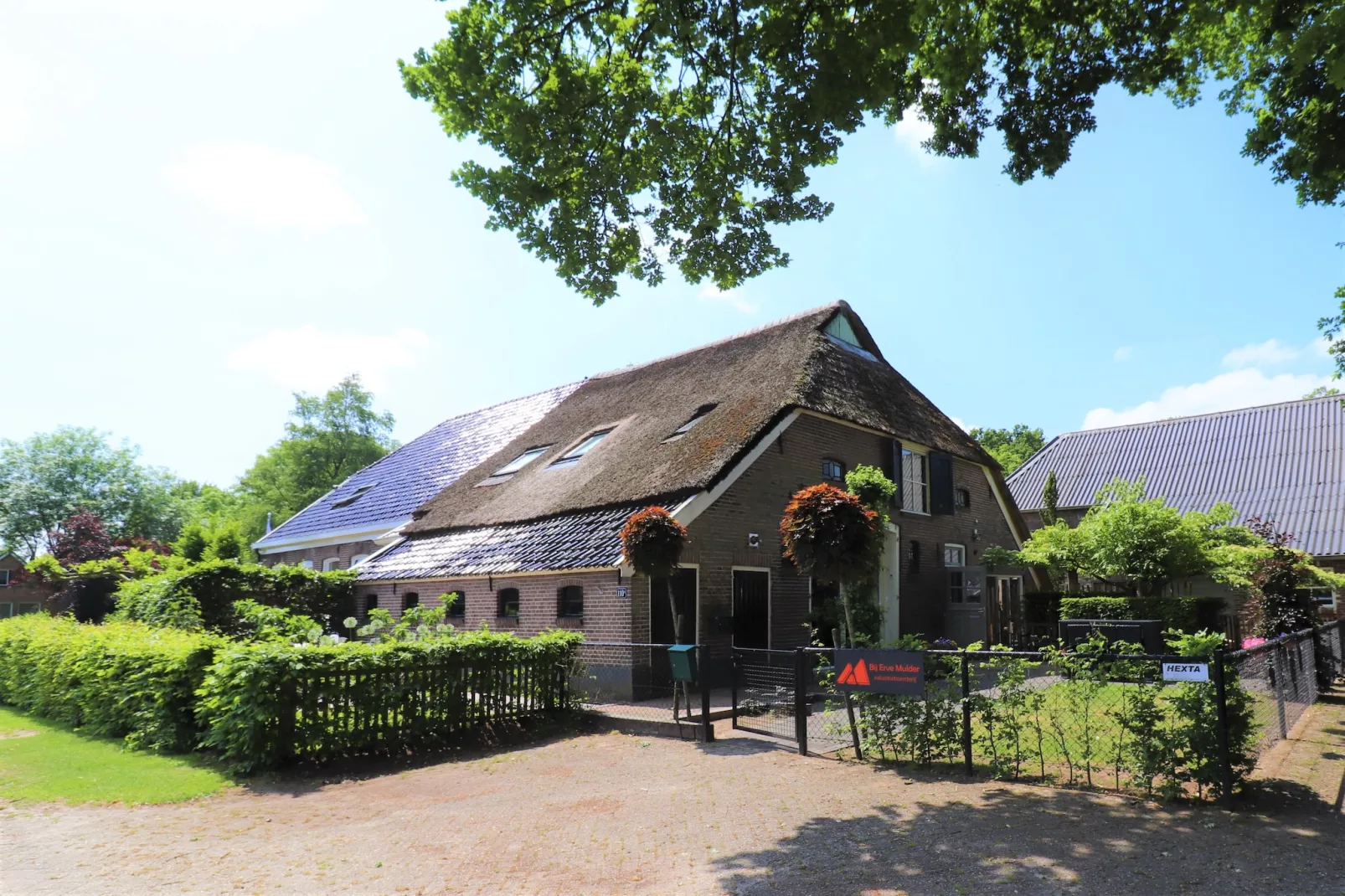 Boerderij Mulder Dalerveen - Exterior in summer